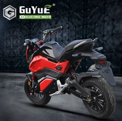 Fat Tire Electric Motorcycle