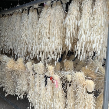 EVERY LOVE Dried Bouquet Lagurus Ovatus 50pcs - Bunny Tail Grass for Wedding Decoration