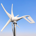 Wysoka wydajność turbiny wiatrowej 12 V 24 V 48V Turbina wiatrowa 1 kW
