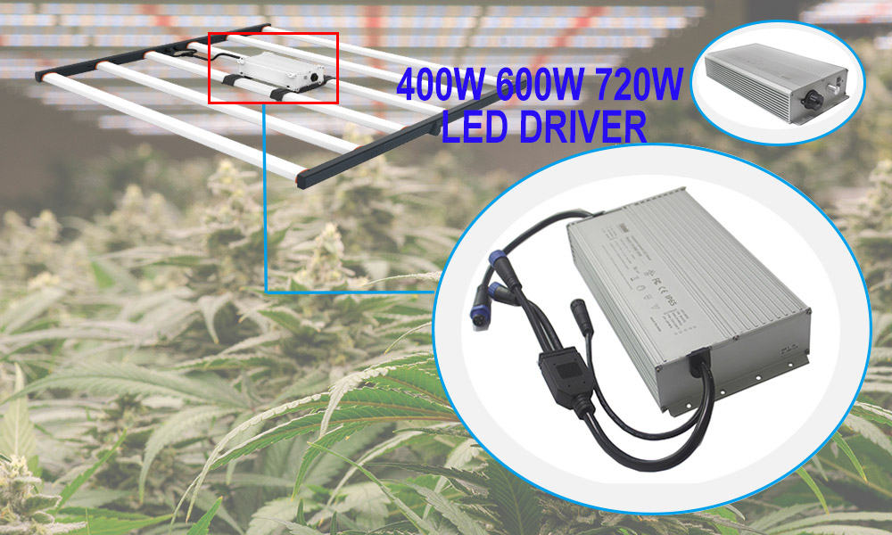 400 720w Grow Light Driver