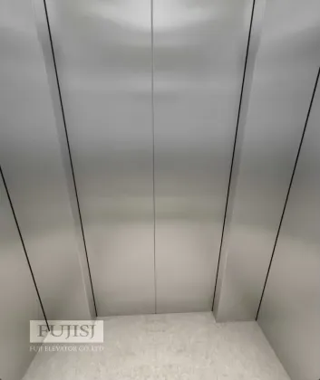 Fuji Elevator Manufacturer Luxury Villa Lift for 1600kg Passenger Elevator