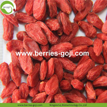 Natural Nutrition Dried Fruit Lycium Chinensis