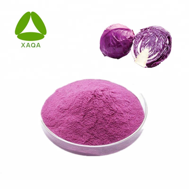 Polvo seco de spray de jugo de col de púrpura natural