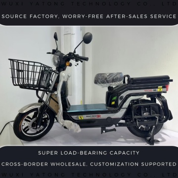 Scooter eléctrico de carga todoterreno premium todoterreno