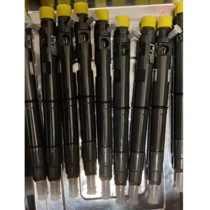 Delphi Diesel Fuel Injectors EJBR03501D for Tata Safari BS3 3.0L