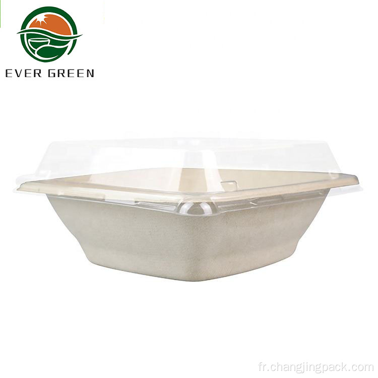 Square biodégradable à emporter Bagasse en papier Salad Bowl