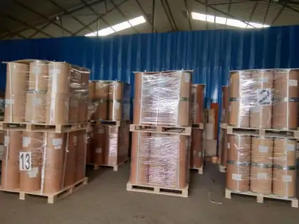 Isatis indigotica fort Extract