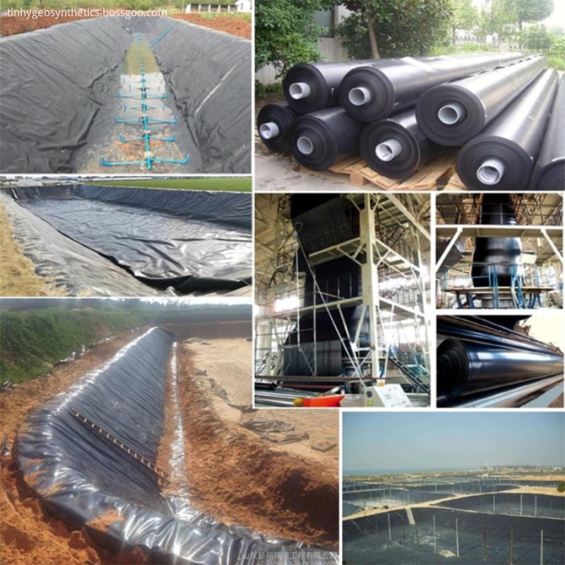 Geomembrane Production Application