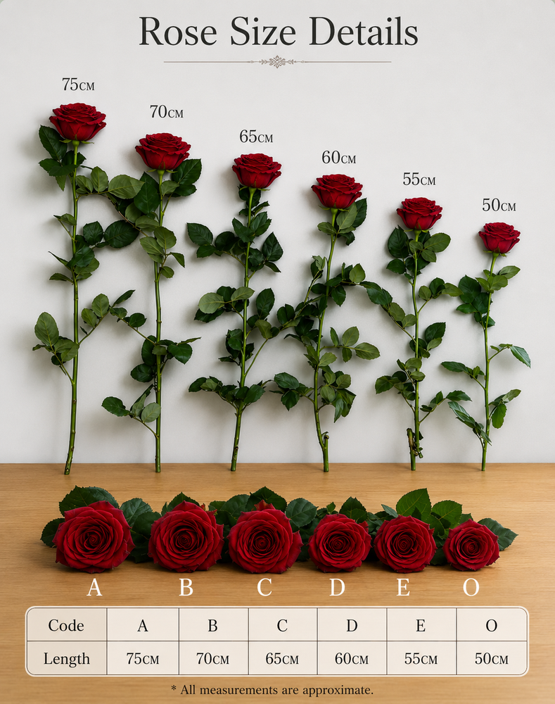 Rose Size Details Chart