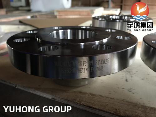 ASTM A182 F51 Duplex Stainless Steel Wnrf Flange