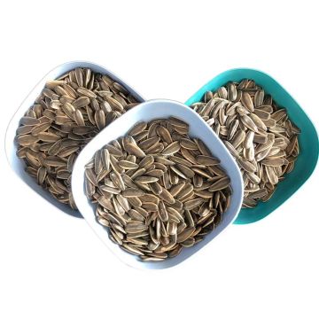 Best Quality Sunflower Seeds Type 363/361