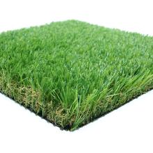 ຫຍ້າທຽມທົນທານໃນສວນ