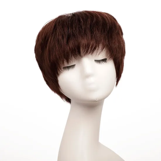Aisi Hair Double Drawn Raw European No Glue No Gel Short 100% Real Wholesale Human Hair Wigs Colored