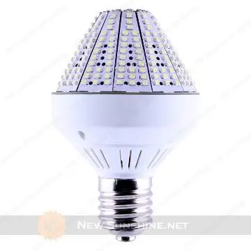 Mogul base E27 E26 20W garden light led