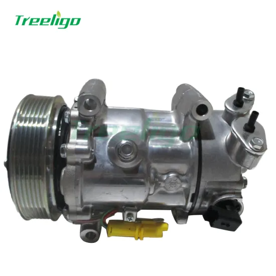 Car AC Compressor for PEUGEOT C-TRIOMPHE 307 (9671216280, 9651910980, TSP0155488, 6C1211906A, 9678656080)