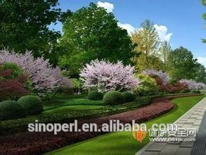 Expanded Perlite for Urban Landscaping