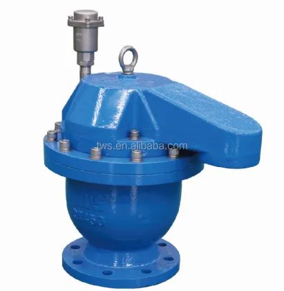DN100 Air Release Valve - Quick Vent Valve PN16 for Water Industry OEM