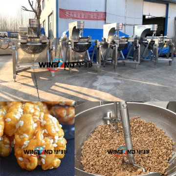 Low Price High Efficiency Snack Food Machine for Sugar Honey Glazed Walnuts and Peanuts