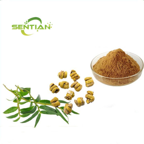 Dendrobium Powder Dendrobium Extract