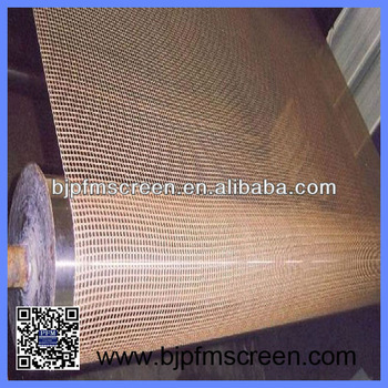 Coffee PTFE open mesh Conveyor Belt for fruit drying