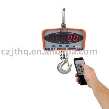 OCS-300kg Crane Scale