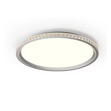Iron Grey LED Ceiling Light: Modern Adjustable Surface-Mounted Lamp for Bedrooms and Living Rooms
