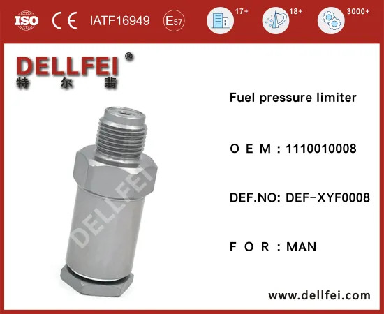 New Fuel Rail Pressure Relief Limiter Valve 1110010008