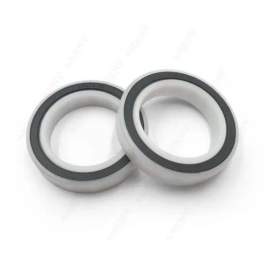 POM6804-2RS 20x32x7 mm HXHV Non-Magnetic Grease Lubricated POM Races Ball Bearing