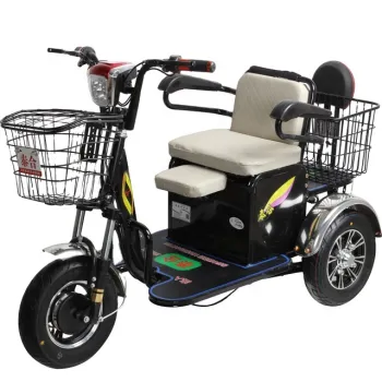 Factory Supply Dropship Fashion Three Wheel Electric Tricycle with Baby Seat