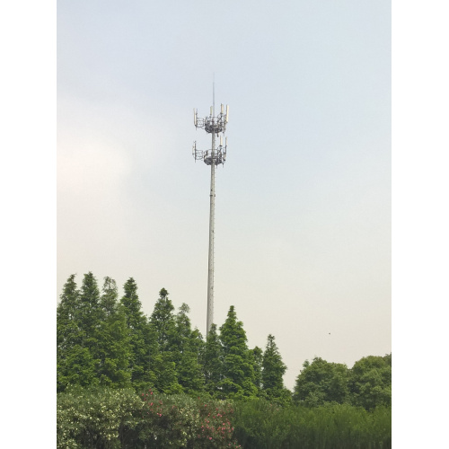 Albero di telecomunicazione con piattaforma a due strati