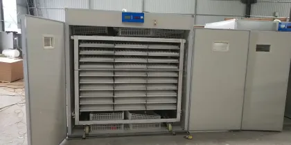 Automatic Egg Hatching Machines for Poultry: Chicken, Goose, Duck, and Pigeon Incubators