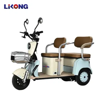 High-End Electric Leisure Tricycle for European Supermarkets - New Design