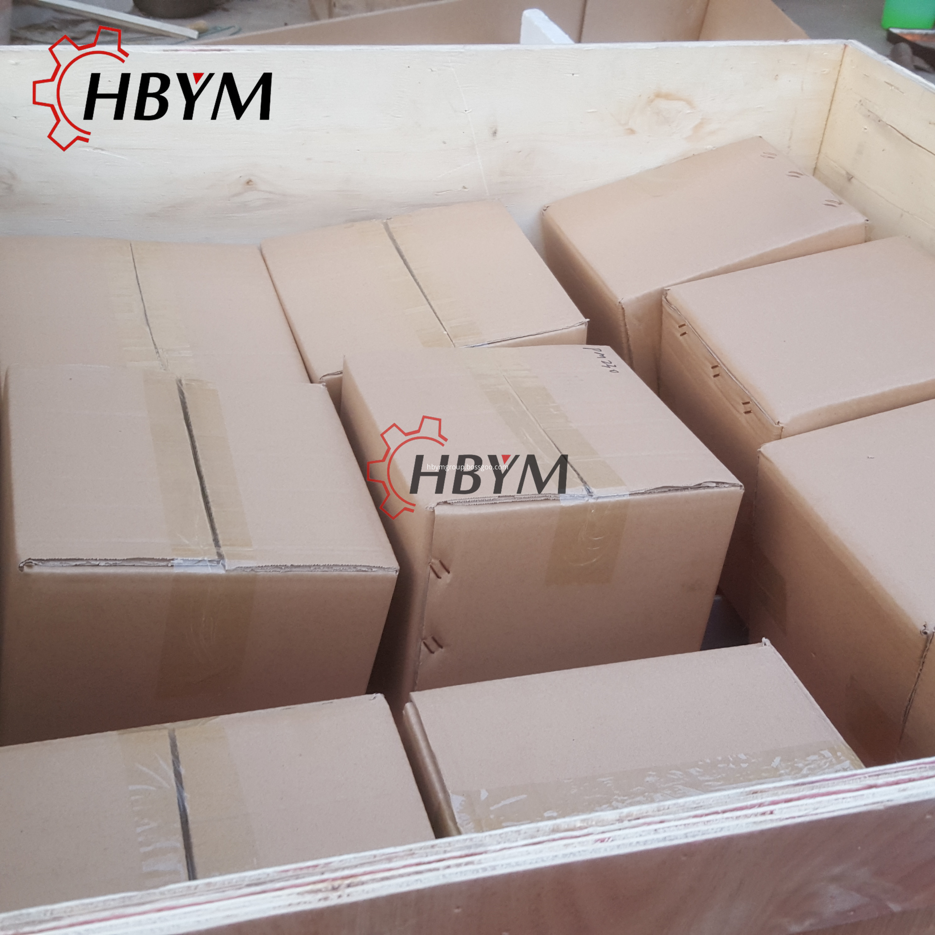 Carton Box Packaging