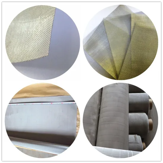 Ss 316, 316L Stainless Steel Wire Mesh for Filtration/Screen Printing/Sheilding Screen