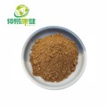 Natural Angelica extract powder 1% Ligusiilide