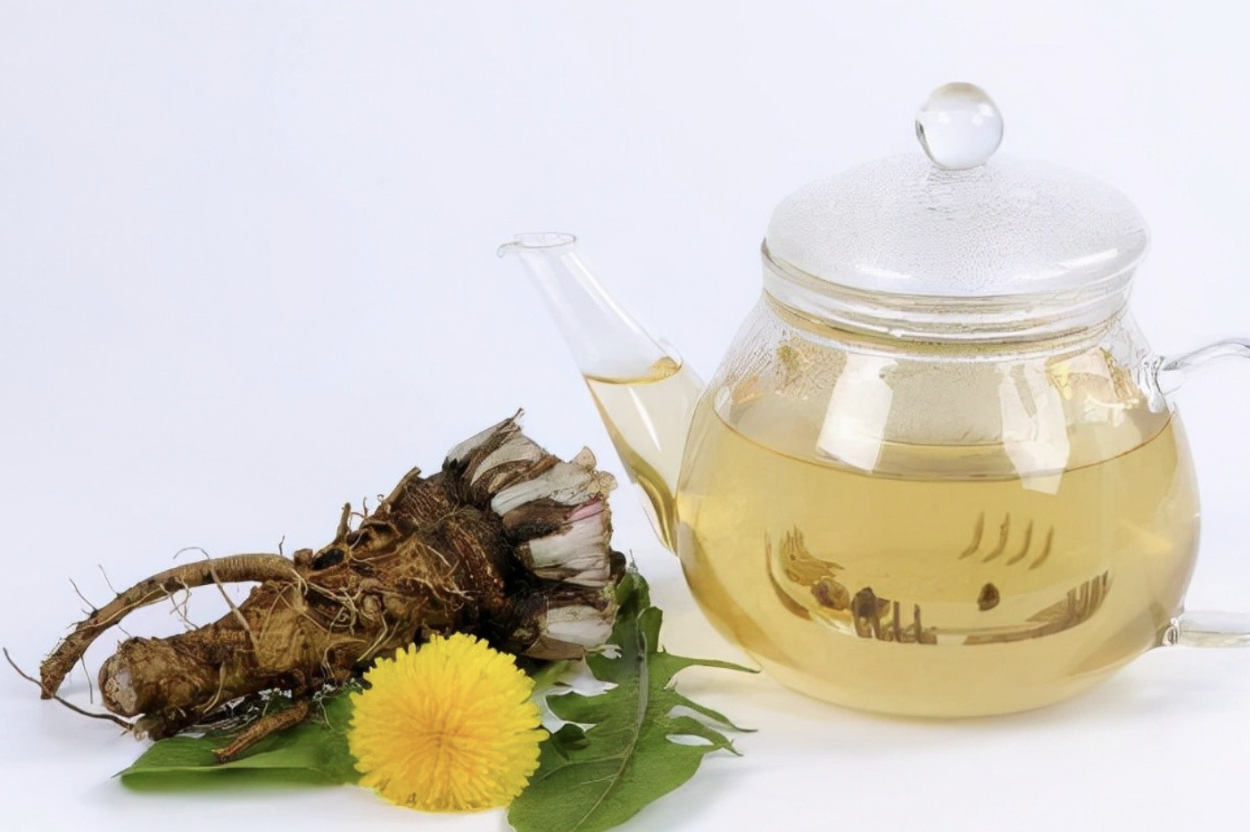 Dandelion Raw Material Powder