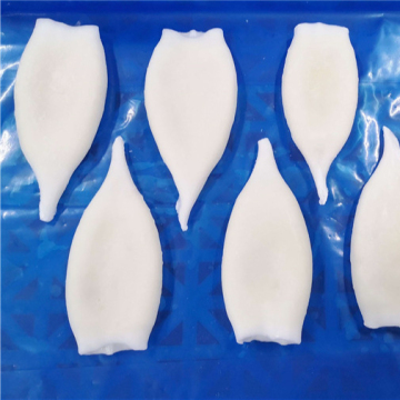 New arrival frozen todarodes pacifica squid tube frozen seafood squid u5 u7 u10 u20