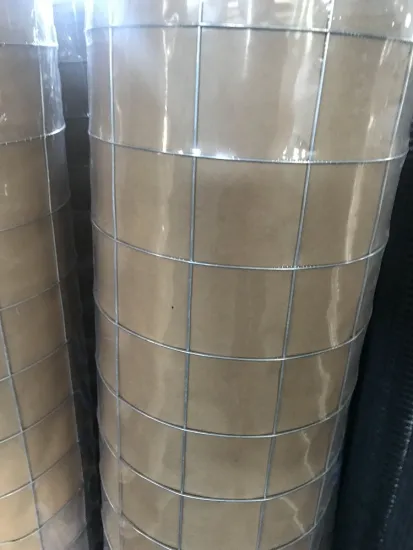 galvanised welded mesh fencing