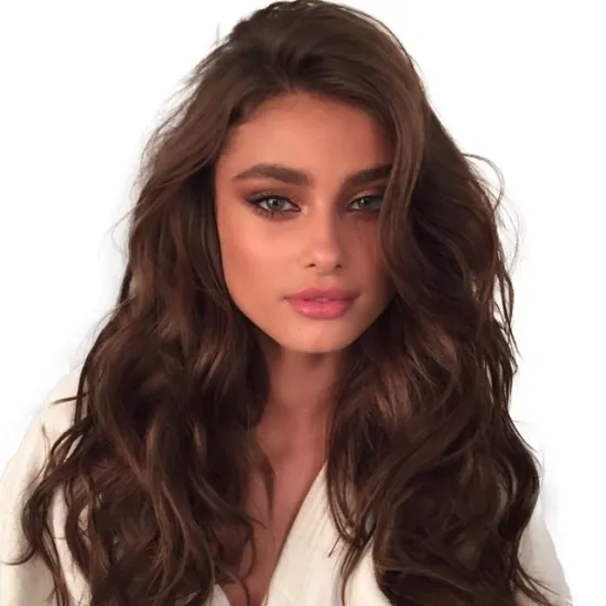 Wholesale Long Black Brown Golden Honey Wavy Wig with Highlights Cosplay Synthetic Wigs Women Heat Resistant Middle Part Wigs