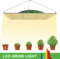 LED Grow Light Best para invernadero/horticultura interior