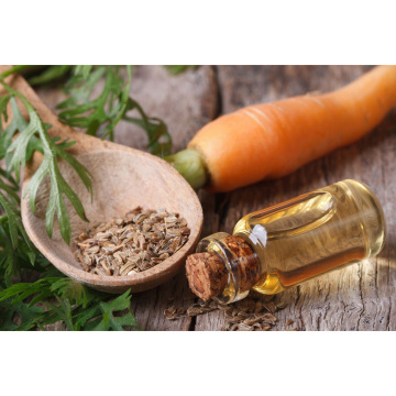 Cold Pressed Organic Carrot Seed Oil Cacia Carrier