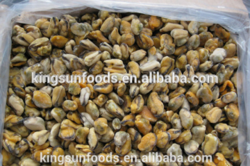 Hot Sale Cooked / Boiled Mussel Meat ( Mytilus Edulis ) IQF