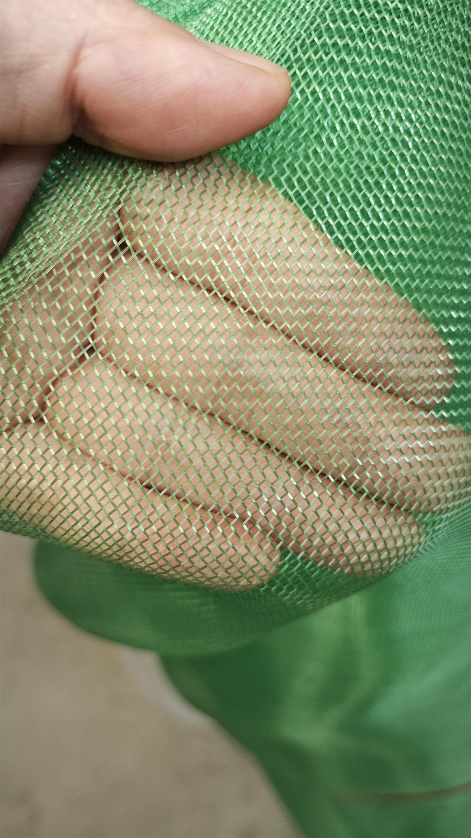 green window screen3