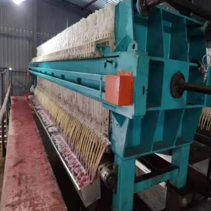 Filter presses Diaphragm filter press
