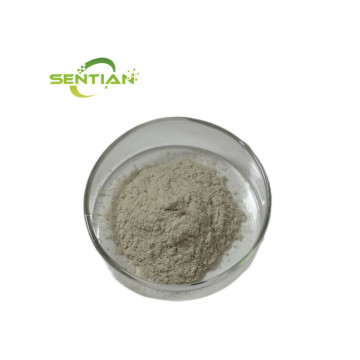 Microbial Rennet Cheese kluyveramises Chymosin Rennet