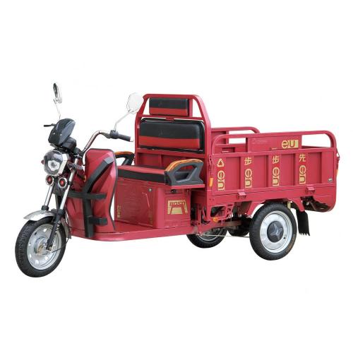 Small cargo electrically operated rickshaw