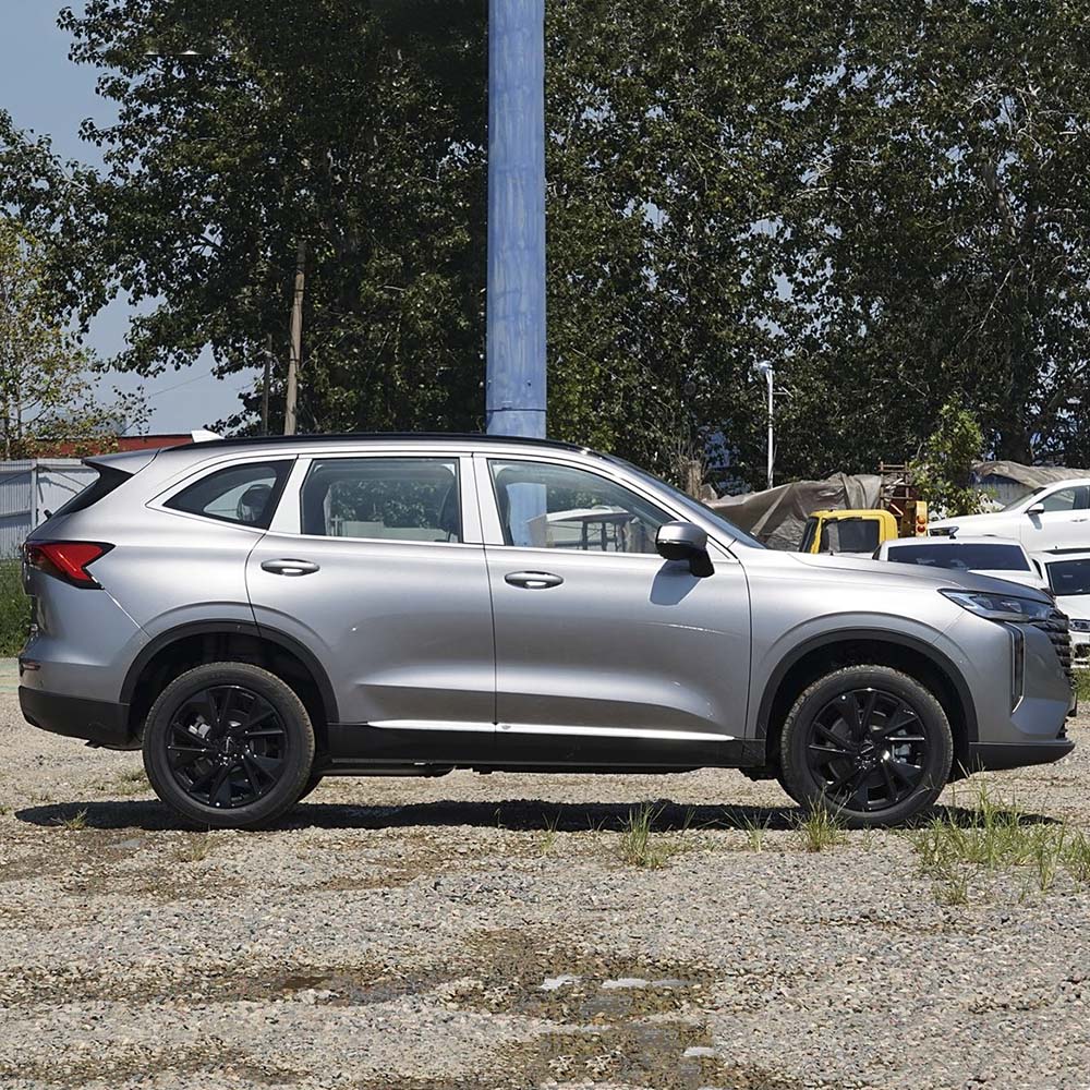 HAVAL H6 (9)