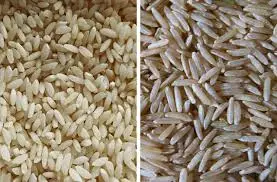 Nutritional rice machines artificial rice making machine