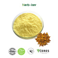 Phellodendron extract Berberine hydrochloride 97%