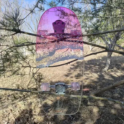 Wholesale PCTG Transparent Skateboard for Kids: Beginner, Girl, Boy, and Teen Options